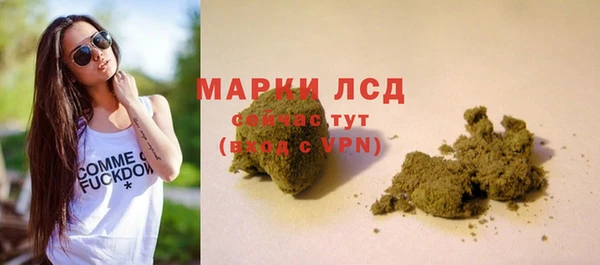 прущие грибы Саяногорск