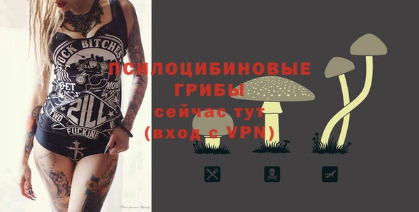 дживик Сатка