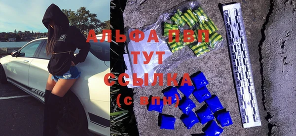 прущие грибы Саяногорск
