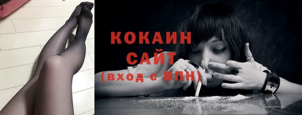 прущие грибы Саяногорск