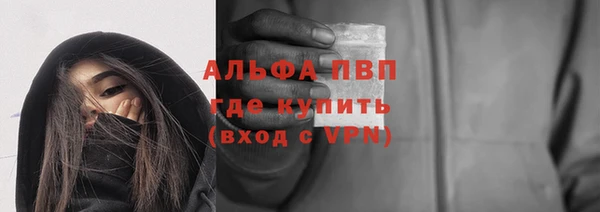 прущие грибы Саяногорск