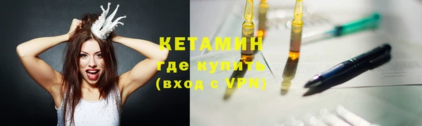 прущие грибы Саяногорск