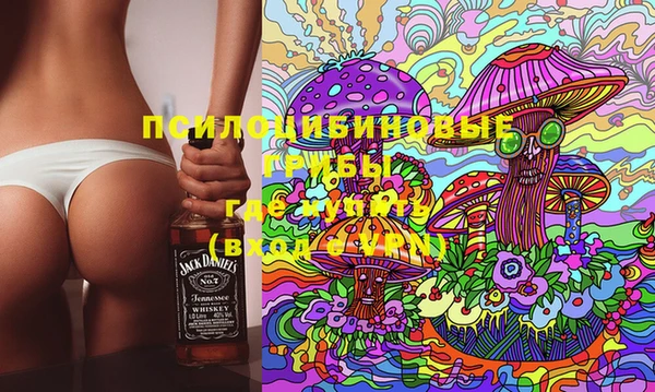 прущие грибы Саяногорск