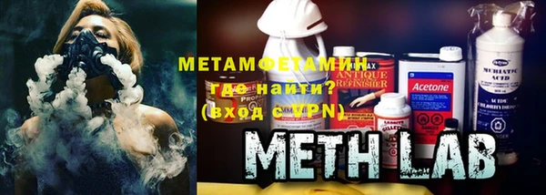 прущие грибы Саяногорск