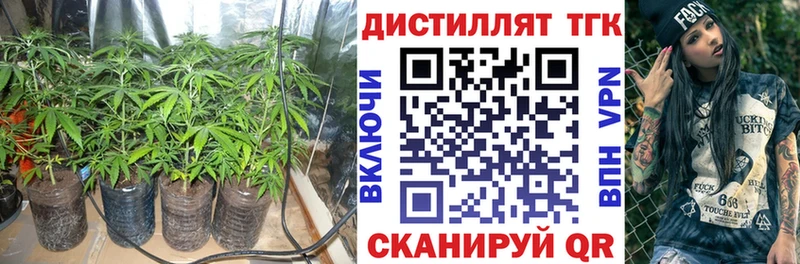 Дистиллят ТГК Wax  Петрозаводск 