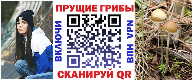 Галлюциногенные грибы Cubensis  Петрозаводск 