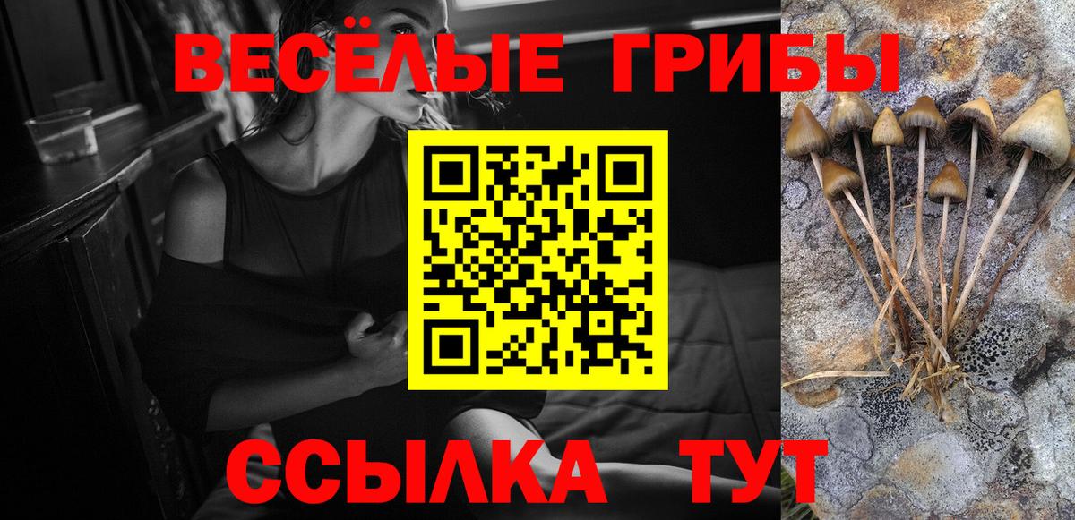 Псилоцибиновые грибы Psilocybe Петрозаводск