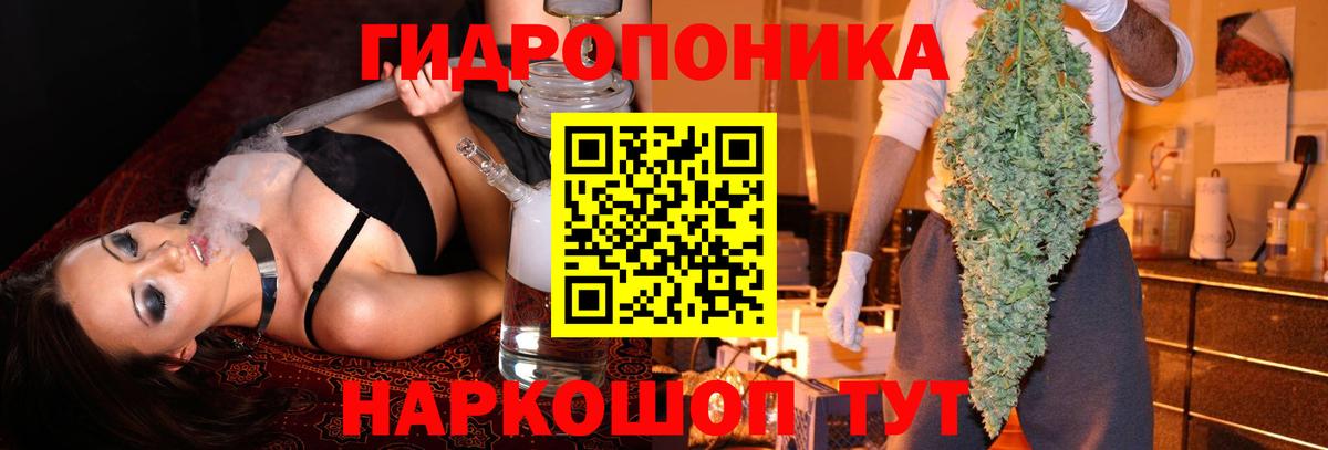 Бошки Шишки MAZAR  МАРИХУАНА White Widow  Каннабис AK-47  Вход с VPN  Петрозаводск  Марихуана LSD WEED 
